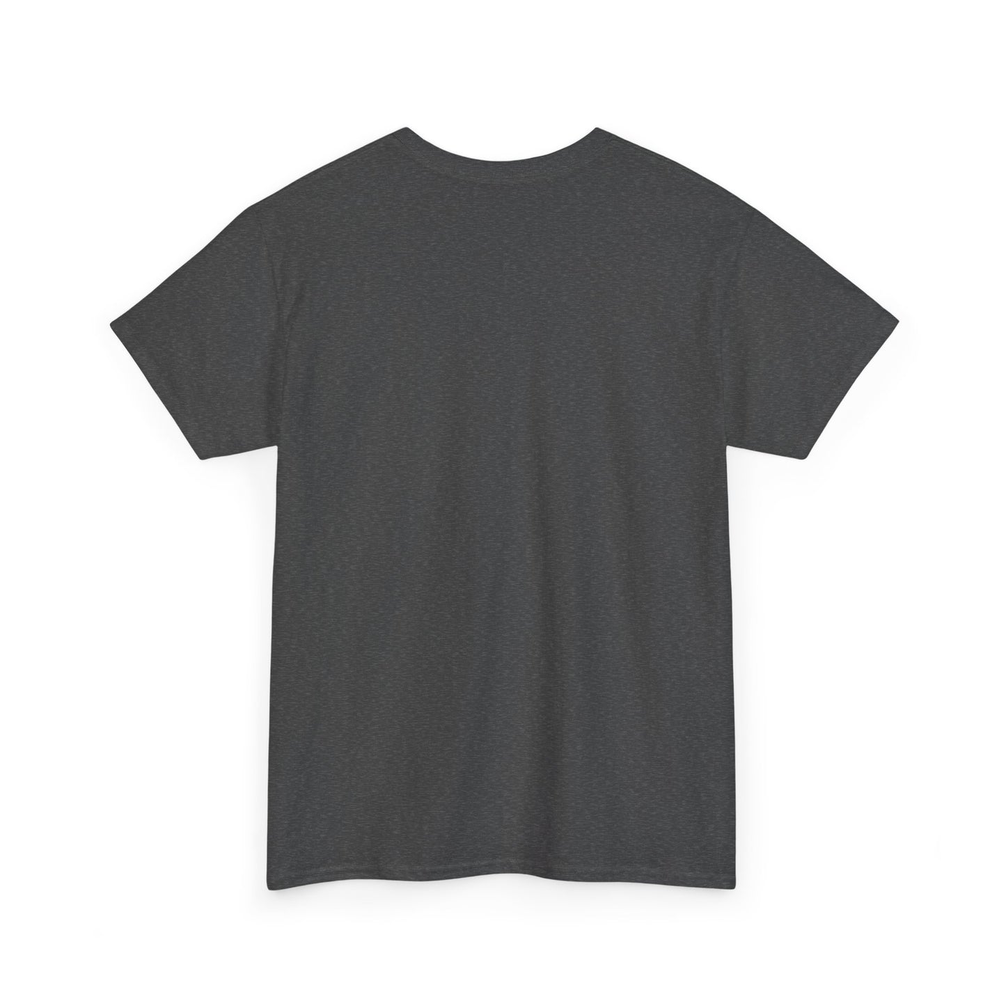 Your Attitude Determines Your Outcome - Heavy Cotton Tee