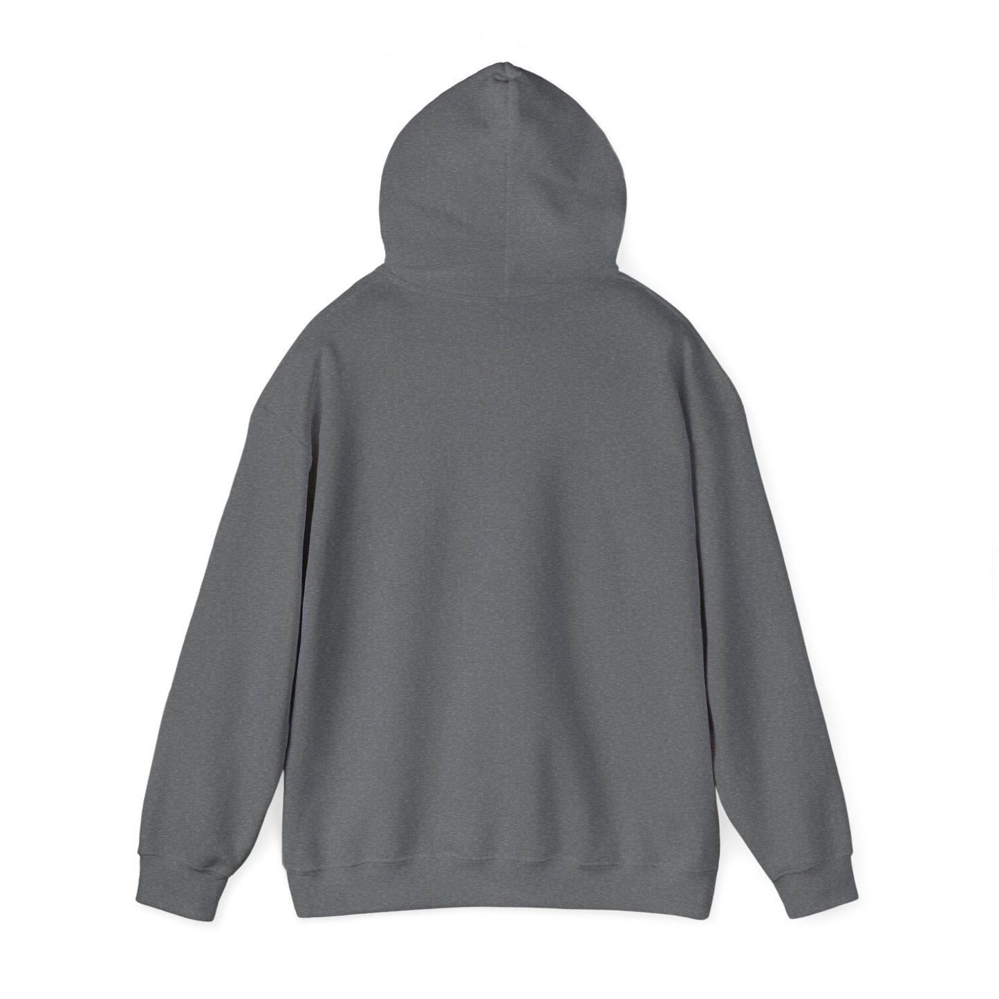 Devil Prey-You Pray - Inspirational Graphic Unisex Hoodie